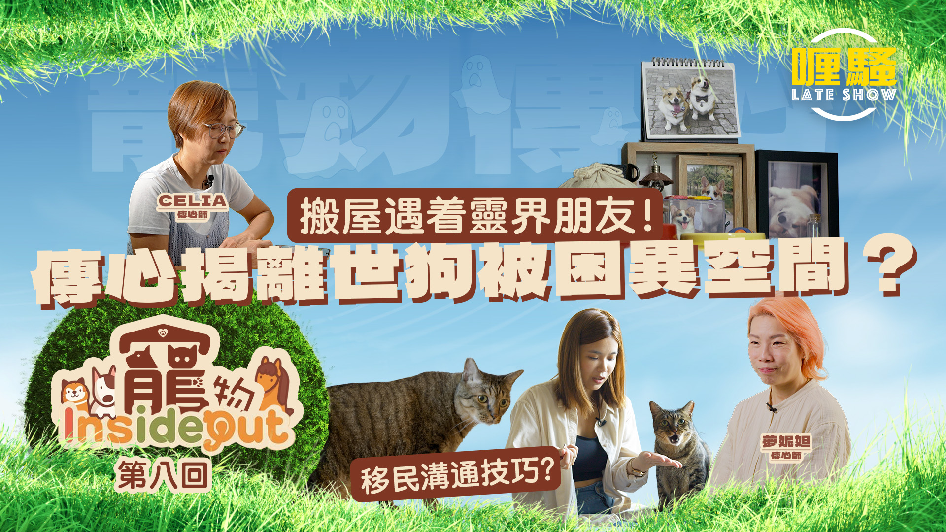 第八集