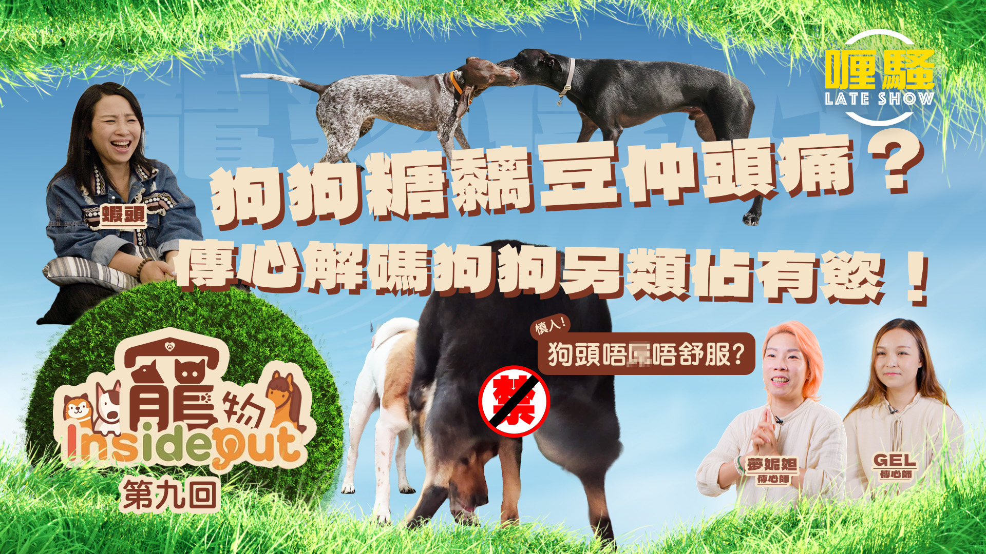 第九集
